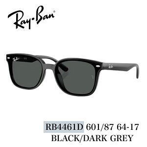 Ray�EBan �T���O���X �yRB4461D�z601/87 64-15�@�|���b�V�� �u���b�N/�_�[�N�O���[�@���C�o�� �T���O���X�@���K�i