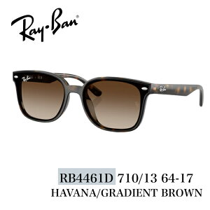 Ray�EBan �T���O���X �yRB4461D�z710/13 64-17�@�|���b�V�� �n�o�i/�~�� �u���E���@���C�o�� �T���O���X�@���K�i