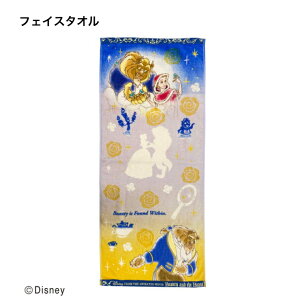 fBYj[ Ɩb x EH[^[e_[ tFCX^IiTCY 34×36cmj