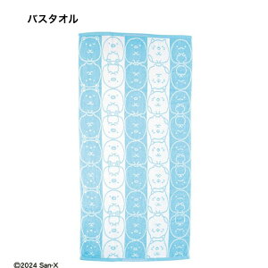 ݂R炵 RR݂C oX^IiTCY 60×120cmj