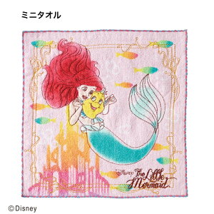 fBYj[ vZX g}[Ch AG EH[^[ AG ~j^IiTCY 25×25cmj