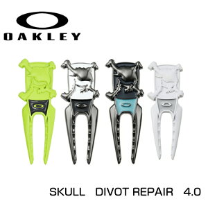 I[N[ St O[tH[N SKULL DIVOD REPAIR 4.0@99491JP