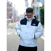 楽天市場】north face eco gtx mountain jacketの通販