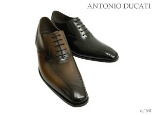 yGg[őSi|CgvX10{Iz ANTONIO DUCATI AgjIhDJeB DC1641 H Y rWlXV[Y amC {v {