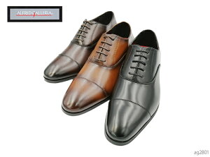 �y�S�i�|�C���g�v���X10�{�I�v�G���g���[�z ALFRED GALLERIA �A���t���b�h�M�������A AG2801 �����Y �r�W�l�X�V���[�Y ���[�X�A�b�v �C
