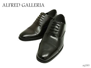 �y�S�i�|�C���g�v���X10�{�I�v�G���g���[�z ALFRED GALLERIA �A���t���b�h�M�������A AG2901 �h�� �h�� �����Y �r�W�l�X�V���[�Y ���[�X�A�b�v �V���[�Y �C �O���b�v�\�[��