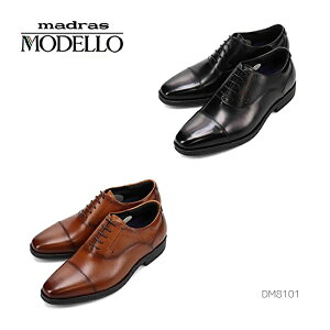 }hX  f MODELLO HXg[g`bvErWlXV[Y DM8101 ẼJoXHV[Y Y hXV[Y C {v Ki