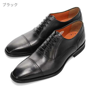 }hX  MODELLO VITA f B[^ VT8704 Y H Xg[g`bv rWlX hXV[Y amC C {v U[ 3E fr[^