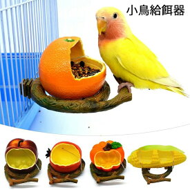 鳥用 フードフィーダー 擬似枝 フルーツ 餌やり 餌入れ 小鳥 野鳥 餌台 食器 インコ 自動給餌器 オウム カナリア 小鳥給餌器 トウモロコシ オレンジ リンゴ カボチャ ザクロ 5タイプ オウムスタンド オウム 給餌器