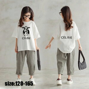 y50%OFFN[|z؍q ZbgAbv  JWA i` `FbN  pc vg ̎q  ][g LbY ǂ  JWA ꂢ /w 