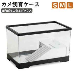 yN[|ő1000~OFF!zJ  P[X T  S M L 񂿂イ ڂ GTM ~hK NTK Xb| ώ@ Ki o₷ J P[X J{bNX  
