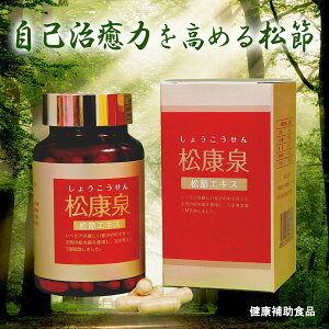 yzN ߃GLX 100 傤 VEREZ  slVAIC |tFm[ ̎R܂񂾏  t ۂ Xb|  K戵X