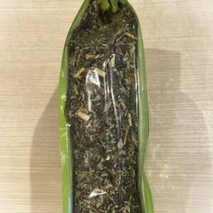 yzȖ{VC g`g̐  V f Ɩp _