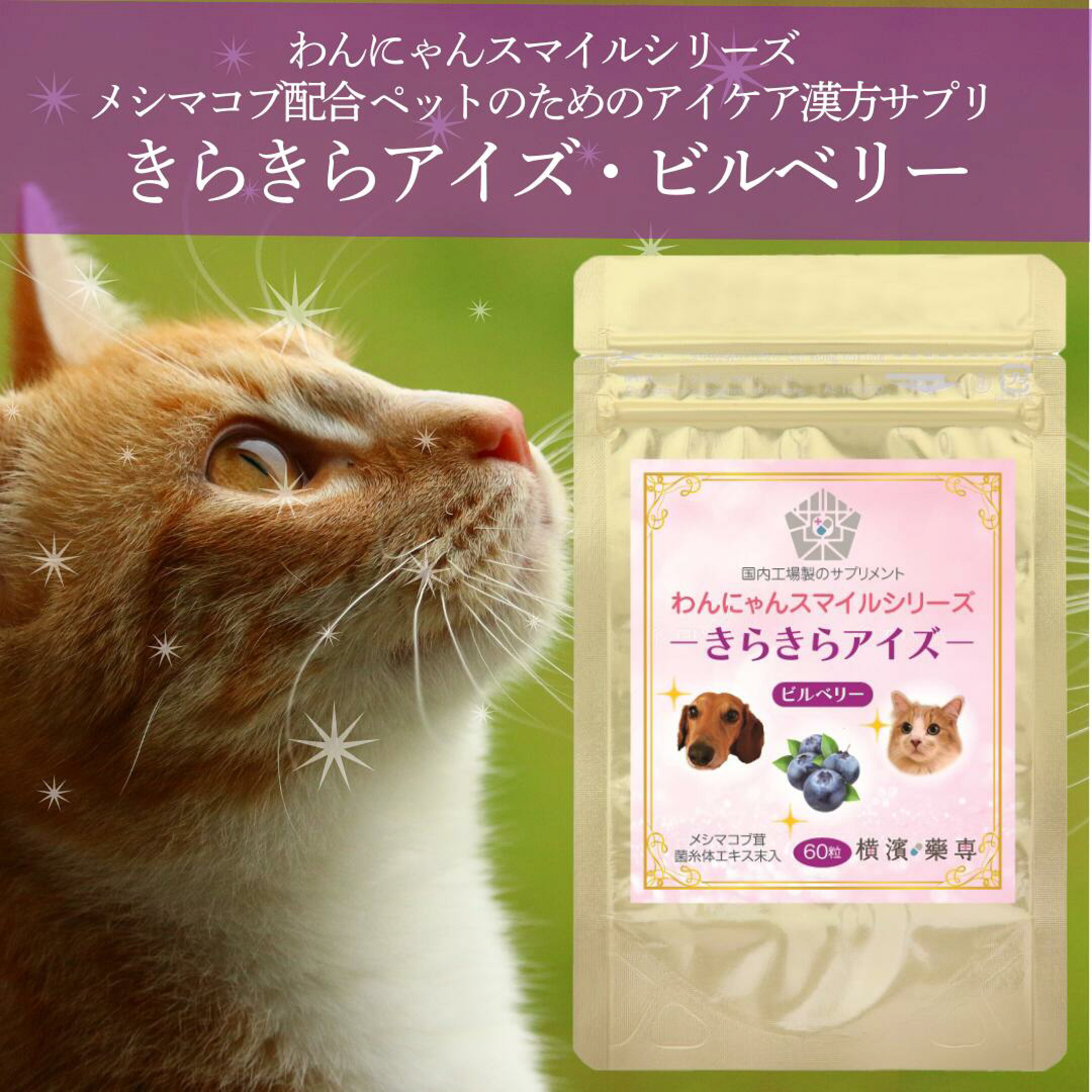 メシマコブ配合のペットサプリ！