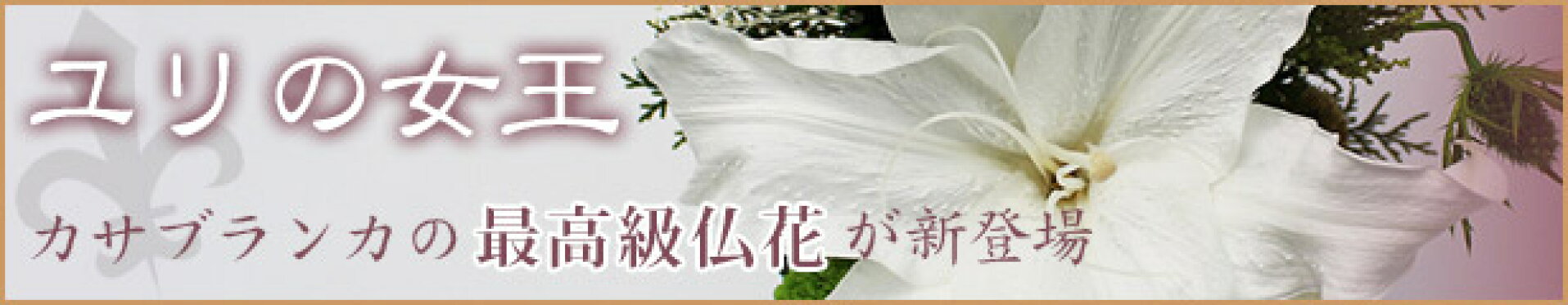 カサブランカの仏花