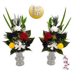 vU[uht[ ԁy΁z i PSYH-02012 dp 䋟 