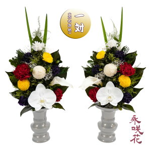 vU[uht[ ԁy΁z i PSYH-02032 dp 䋟 Ӓ