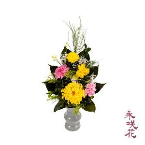 vU[uht[  i PSYH-02061 dp 䋟 e