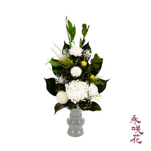 vU[uht[  i PSYH-02071 dp 䋟 e