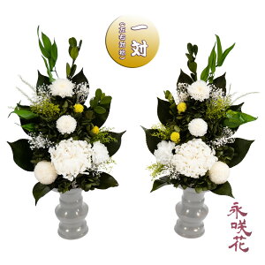 vU[uht[ ԁy΁z i PSYH-02072 dp 䋟 e