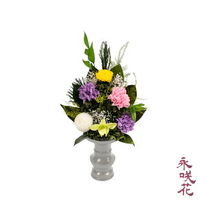 vU[uht[  i PSYH-02081 dp 䋟 