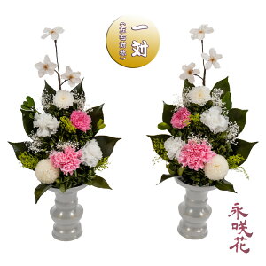 vU[uht[ ԁy΁z i PSYH-02112 dp 䋟 