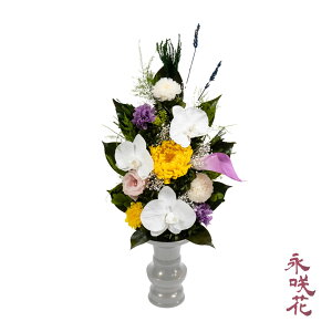 vU[uht[  i PSYH-02161 dp 䋟 Ӓ