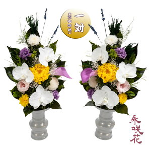 vU[uht[ ԁy΁z i PSYH-02162 dp 䋟 Ӓ