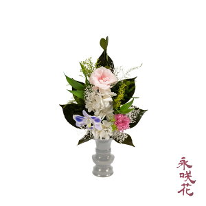 vU[uht[  i PSYH-02211 dp 䋟 gRLLE