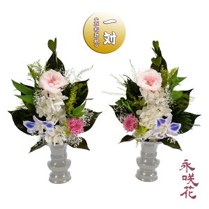 vU[uht[ ԁy΁z i PSYH-02212 dp 䋟 gRLLE