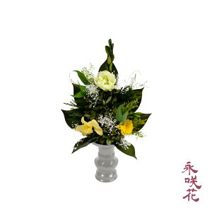 vU[uht[  i PSYH-02221 dp 䋟 gRLLE