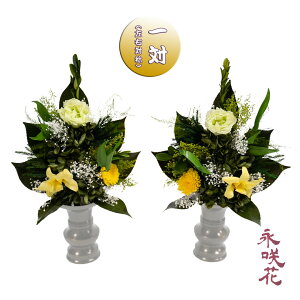 vU[uht[ ԁy΁z i PSYH-02222 dp 䋟 gRLLE