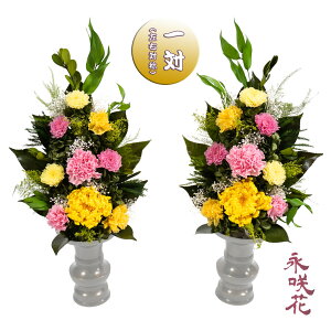 vU[uht[ ԁy΁z i PSYH-02352 dp 䋟 e