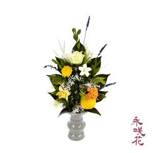 �v���U�[�u�h�t�����[ ���� �i��� PSYH-02361 ���d�p �䋟 �g���R�L�L���E