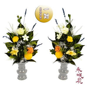 vU[uht[ ԁy΁z i PSYH-02362 dp 䋟 gRLLE