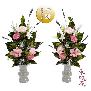 vU[uht[ ԁy΁z i PSYH-02372 dp 䋟 gRLLE