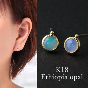 N[|zz sAX fB[X sAX fB[X 18 k18 Ip[ S[h VR  l Vv CG[S[h  킢  AM[ 10a G`I