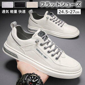 tbgV[Y Y EH[LOV[Y C ʋC y ϖ _炩 ₷ K ʊw ʋ s Xj[J[ VvLoXV[Y