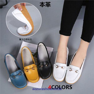 fB[X [t@[V[Y hCrOV[Y JV C {v rbg^Cv 傫TCY Ռz  ʋΗp t