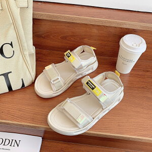 fB[X T_ X|[cT_  xN Xj[J[ C ₷