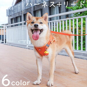 n[lX [h  x Zbg L  Eoh~ ˑfޕt 4_Zbg ^ ^ Lp p   U o [ht  킢 ybgp Lp ߉\ yb