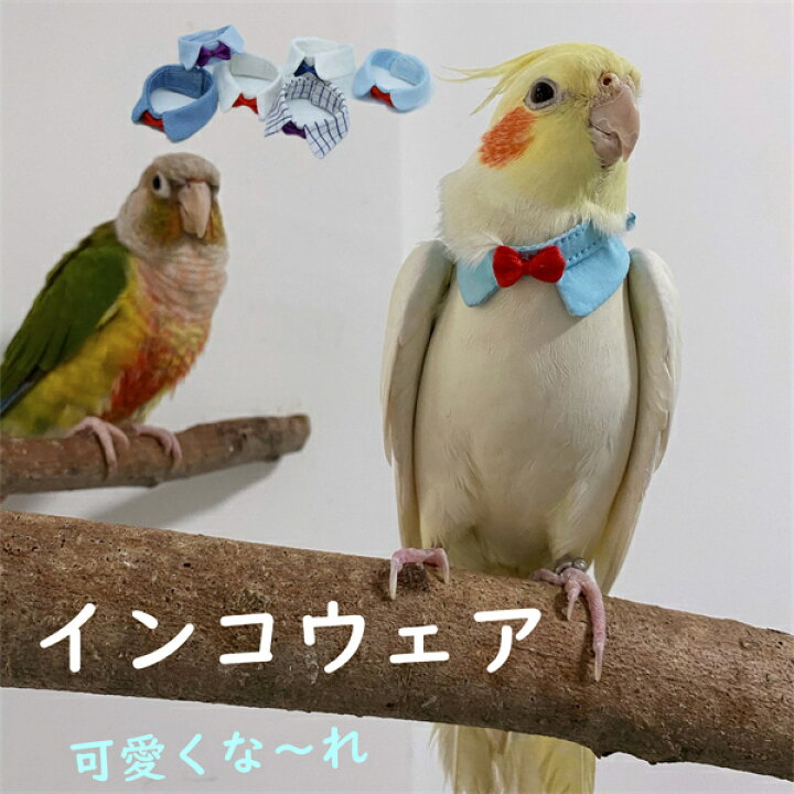 楽天市場 インコウェア インコ 鳥 首輪 調整可能 ソフト 軽量 かわいい 無地 ペット雑貨 安全素材で作り 安心感 サイズ選択 ペット用品 小動物 Pregaloshop