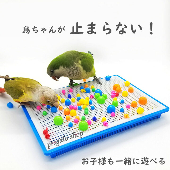 25％OFF ことりちゃんブランコ セキセイインコ コザクラインコ用 Sサイズ：ミカン