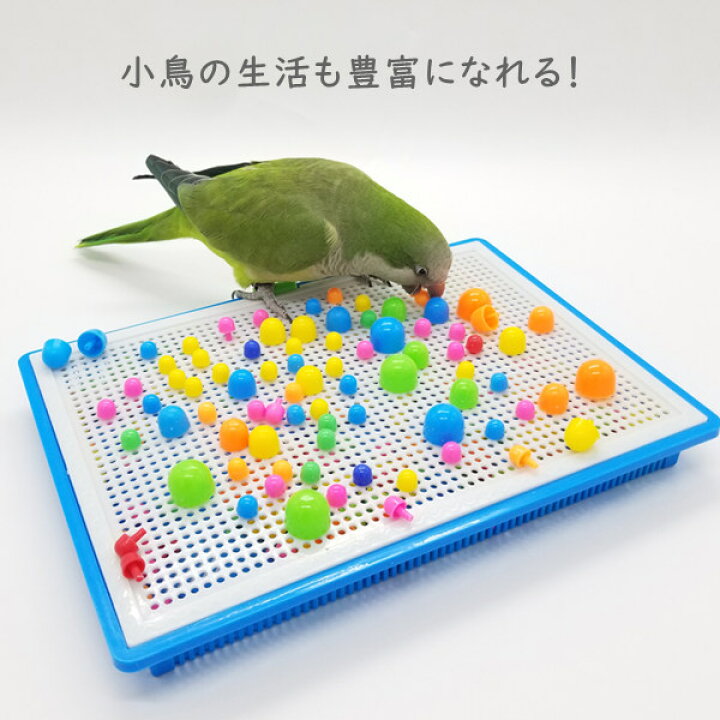 楽天市場】鳥のおもちゃ インコ おもちゃ バードトイ 鳥 小鳥 ストレス 