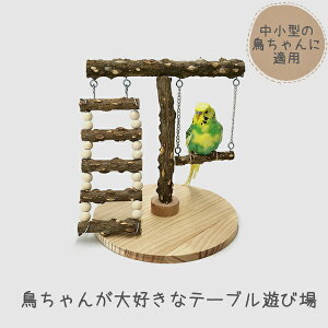 X^h CR Vя pp[` VR e[uu pi IE ybg  P[WX^h  ܂Ƃ  R ~܂ ؐXe[W o[hg  ߋ