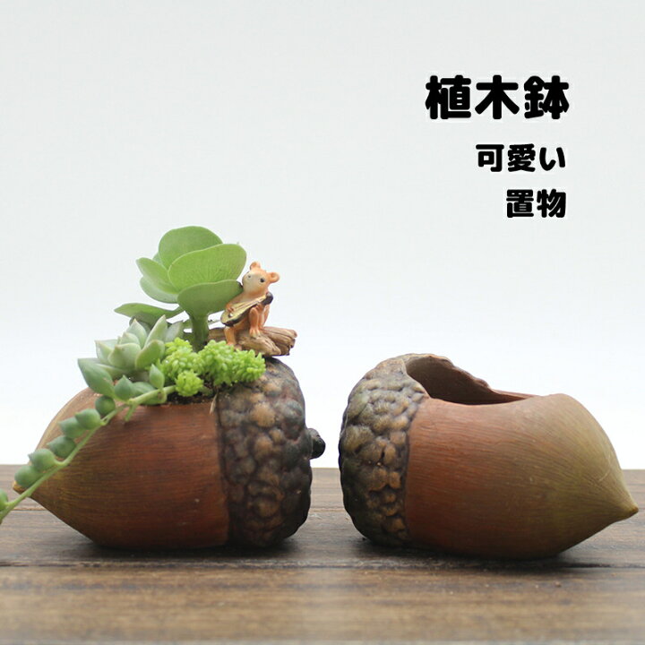 楽天市場 植木鉢 ミニ 2点セット プランター 多肉 苔 コケリウム 苔リウム 箱庭 鉢 可愛い サボテン 多肉植物 寄せ植え 置物 インテリア どんぐり 松かさ かわいい 樹脂 テラリウム 容器 卓上 小型 ガーデニング グッズ 雑貨 Pregaloshop