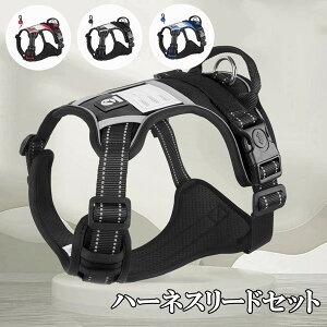 n[lX[hZbg 3color  n[lX  \tg pn[lX Ck hbO ^ Ȃ h~ Up o ȒP  JbRCC ₢ K ybgObY