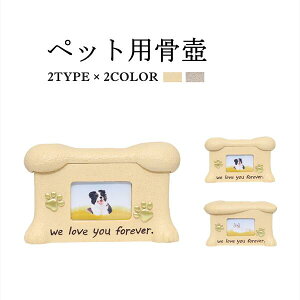 ybgp ybg 2type 2color ~j 킢  AObY ybg{ [  L ybgObY [   hbO Lbg ʐ^ւ\