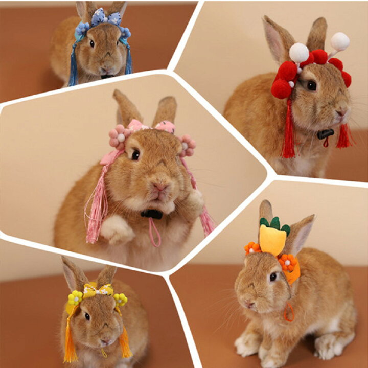 楽天市場 ペット ハムスター リス うさぎ ハリネズミ 小動物 調節可能 首飾り キャップ かわいい おしゃれ コスプレ 可愛い ペット用品 ペット グッズ Pregaloshop