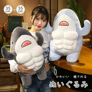 ʂ 2color 킢 Muscles Shark T }bX ؓ  LbY ̎q q  _炩 Sn Ƒ a w  j  蕨 l炵 q 낢 N